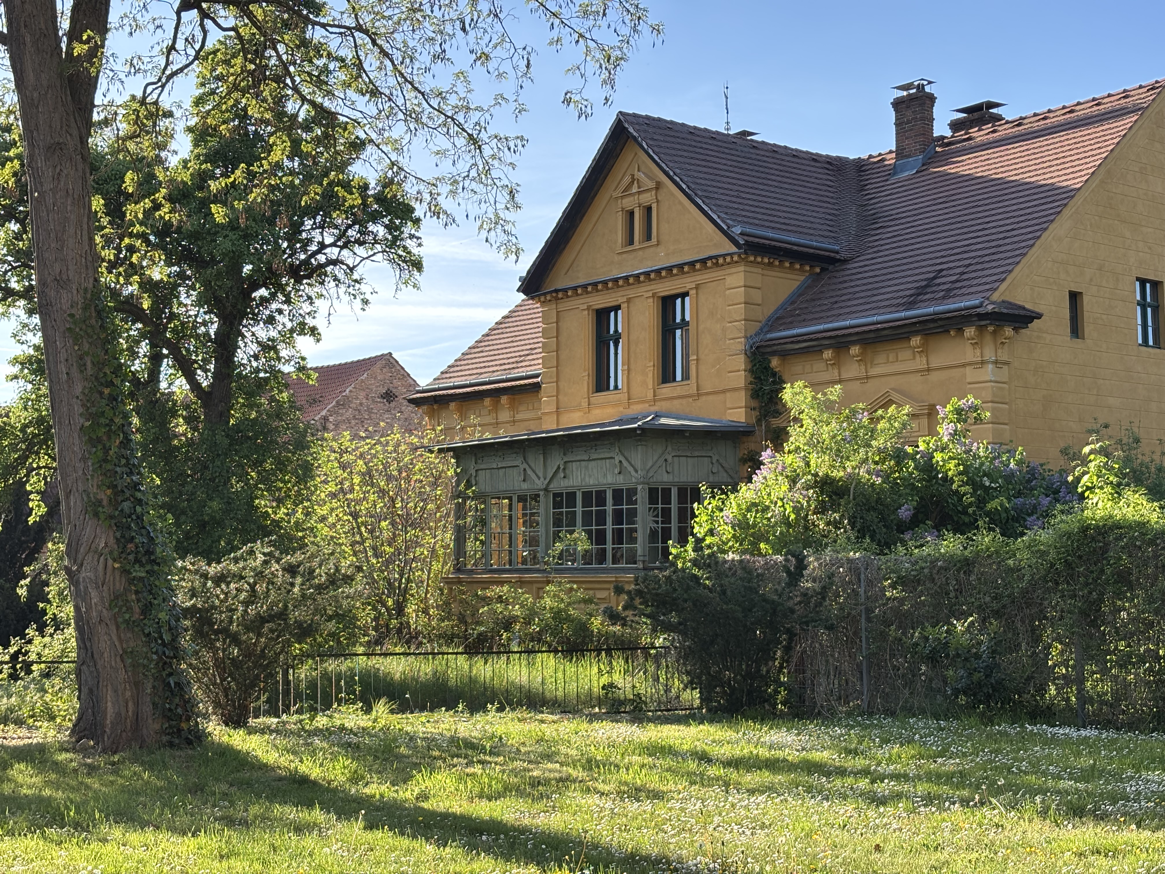 Blühende Grünanlage in Berlin