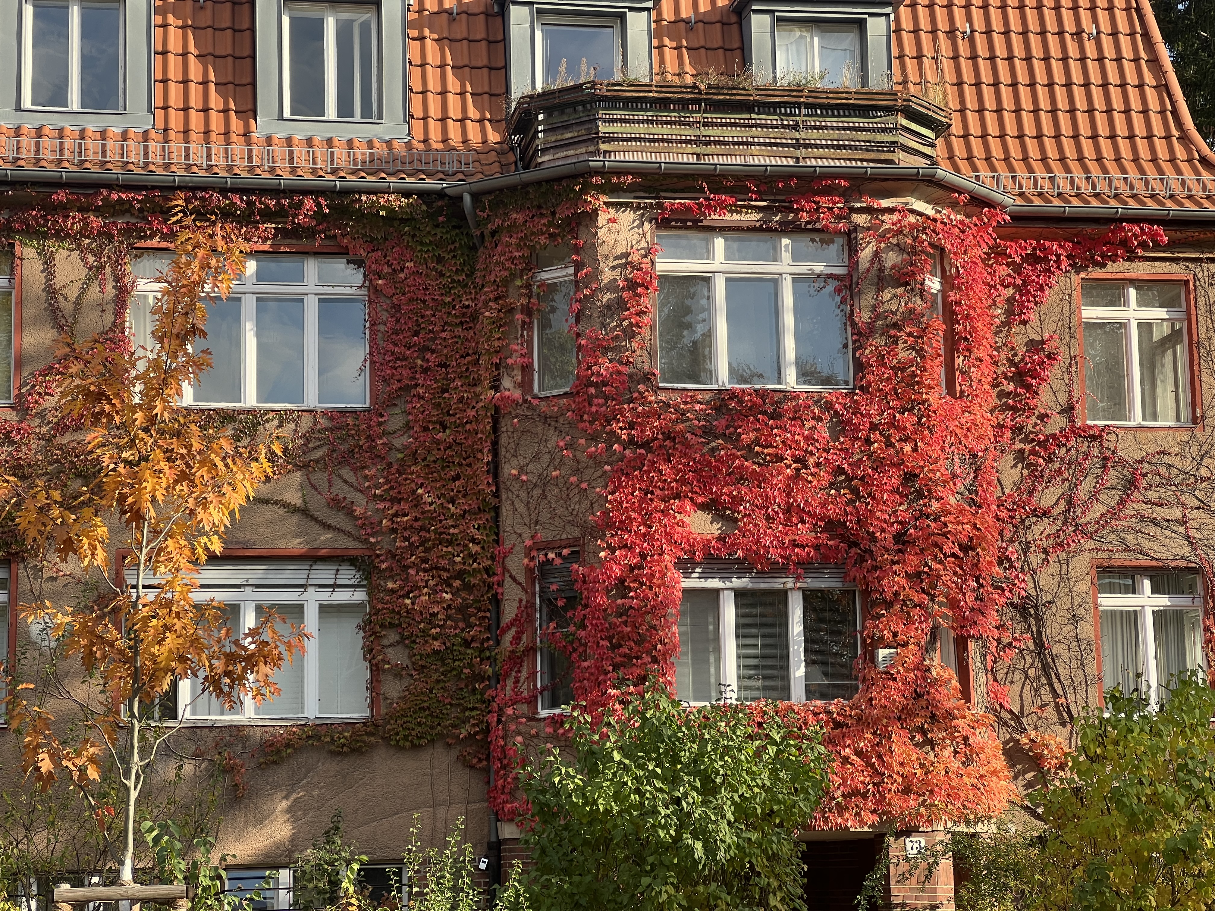 Laubentsorgung im Herbst